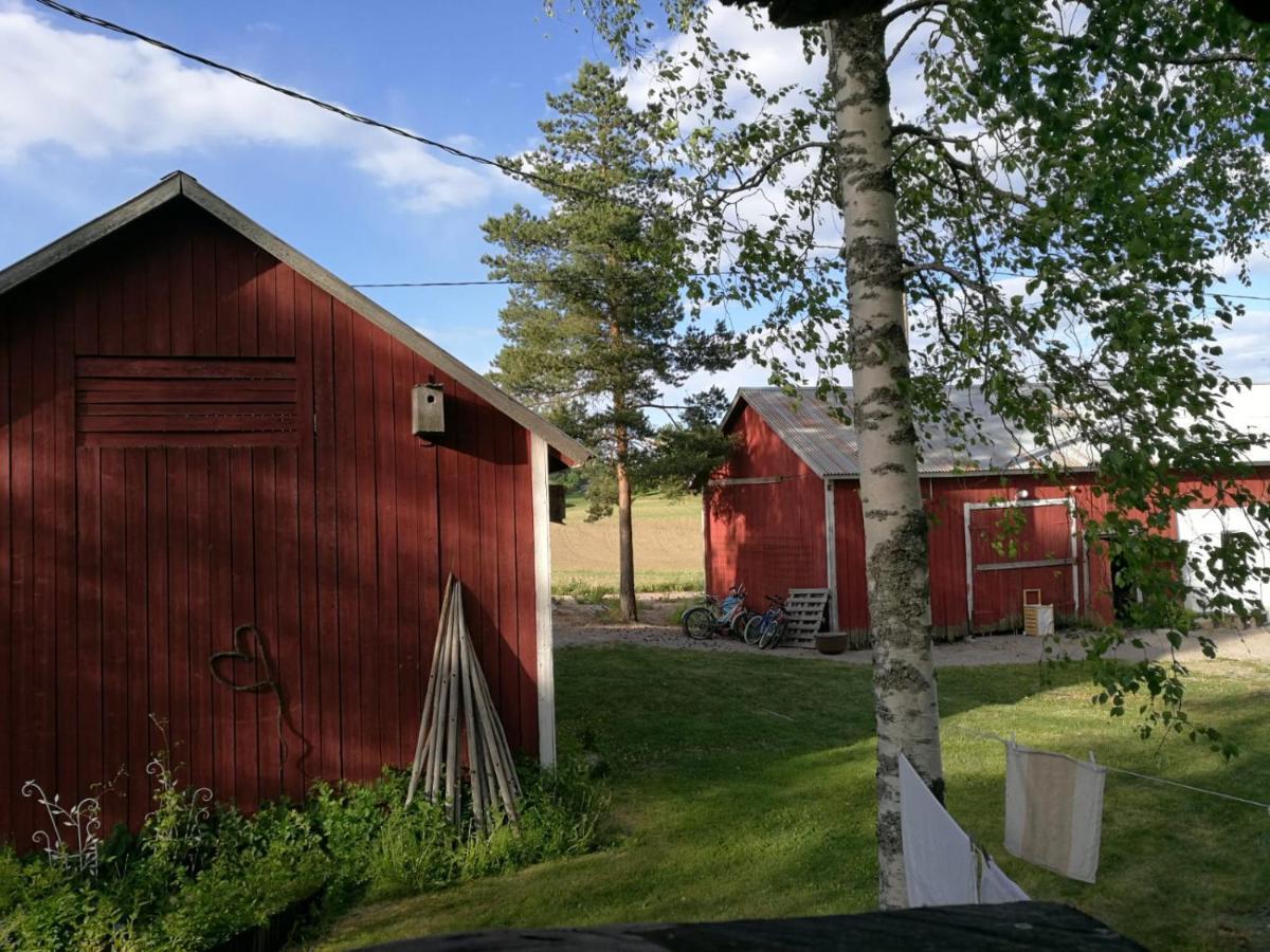 Laukkoski Willa Mustijoki المظهر الخارجي الصورة
