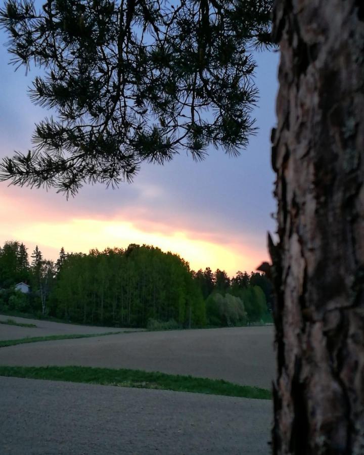 Laukkoski Willa Mustijoki المظهر الخارجي الصورة